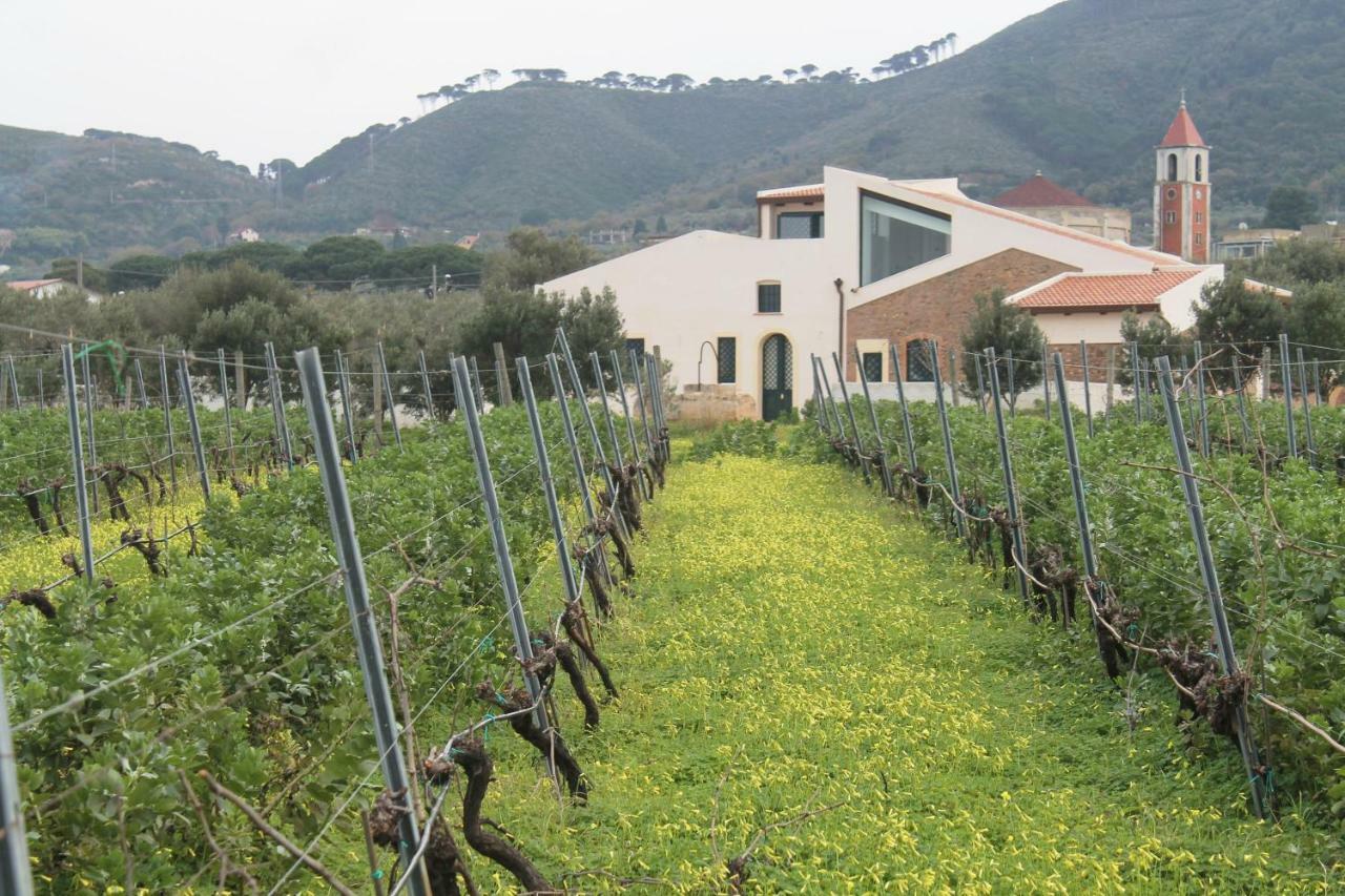 Tenuta Rasocolmo Messina Kültér fotó